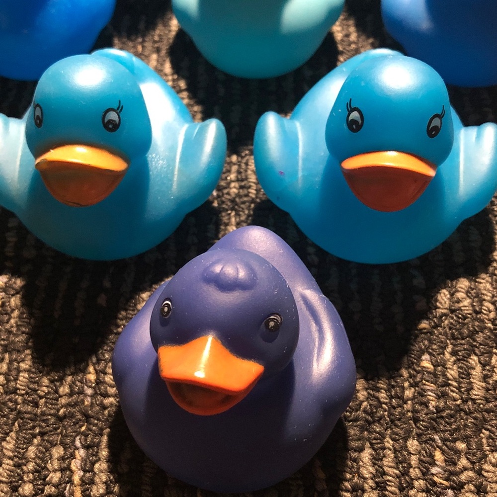 💐 Set of Blue Rubber Ducks - Picture 9 of 9